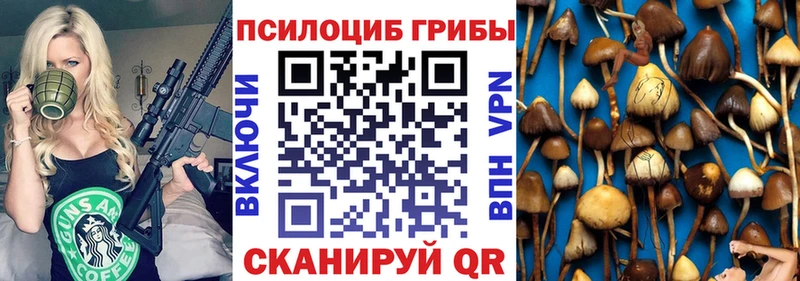 mega сайт  Змеиногорск  Галлюциногенные грибы Magic Shrooms  закладка 