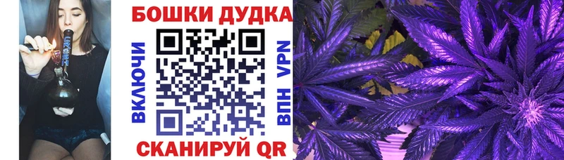 Марихуана планчик  площадка состав  Змеиногорск  сколько стоит 